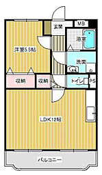 セルリア大橋 1LDKの間取図画像