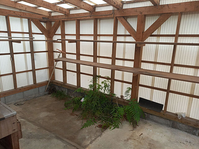  東諸県郡綾町大字北俣587-41