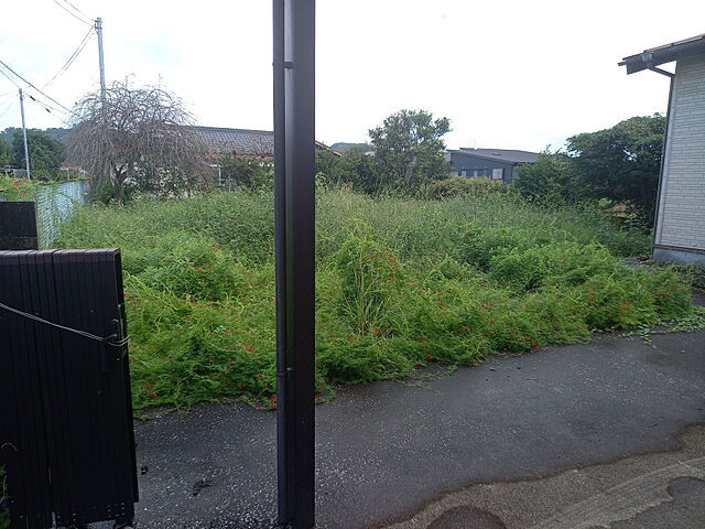  東諸県郡綾町大字北俣587-41