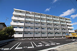 Diosa de sol（ディオサ デ ソル） 406号室