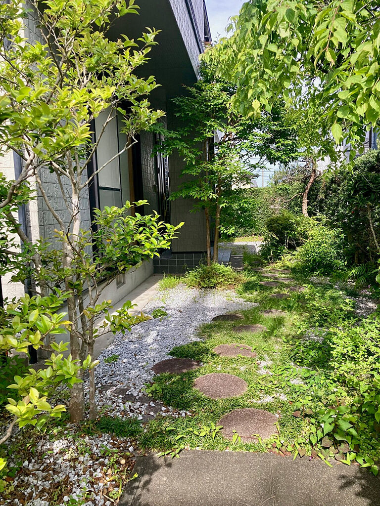 Image 19