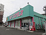 ディスカウントドラッグコスモス大塚店(距離1038m/徒歩13分)