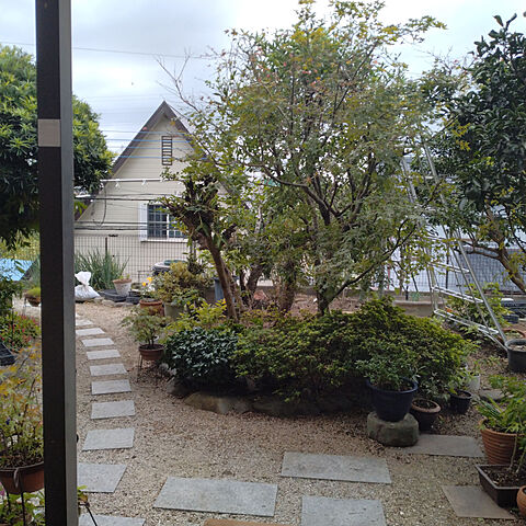  宮崎市大坪西2丁目4391-3