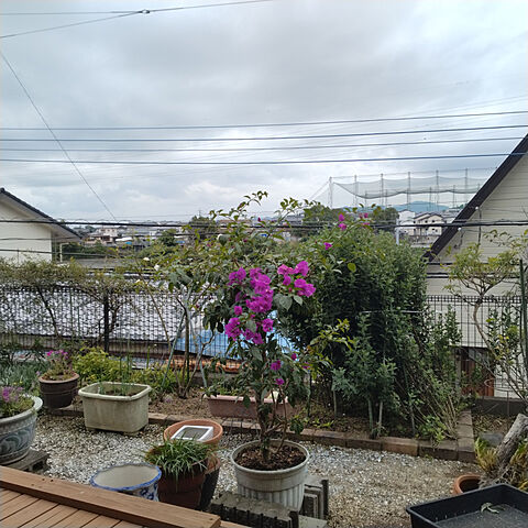  宮崎市大坪西2丁目4391-3