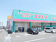 コスモス加納店