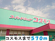 コスモス