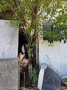 住宅ローン、資金計画の相談もお気軽に♪お客様のライフプランに沿ってご提案させて頂きます♪