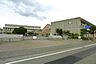 周辺：松山市立福音小学校 1517m