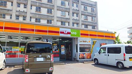 Yショップ MG大空団地店 878m