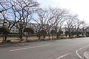 裏川緑地が近くにあり、自然も楽しめます♪
