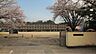 周辺：大分市立荏隈小学校 519m