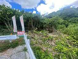 金武町伊芸土地の土地画像