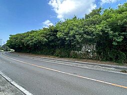 本部町備瀬土地の土地画像