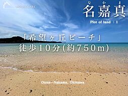 恩納村名嘉真1号地の土地画像