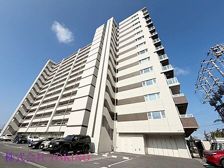 詳細はお問い合わせください。