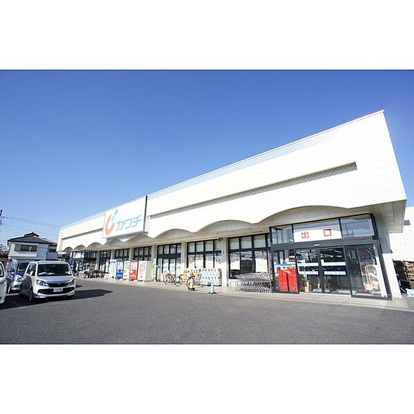 画像21:ドラックストア「カワチ薬品渡里店まで1662ｍ」充実の品揃え