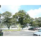 小学校「水戸市立石川小学校まで371ｍ」水戸市立石川小学校