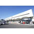 ドラックストア「カワチ薬品渡里店まで785ｍ」充実の品揃え