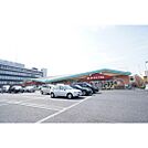 ドラックストア「ウエルシア薬局水戸見和店まで874ｍ」営業時間/9
