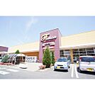 スーパー「ヨークベニマル赤塚店まで1539ｍ」営業時間/9