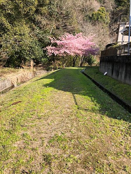 を拡大表示