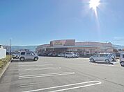 セルバ御殿場古沢店まで2、951ｍ