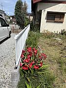 北側隣地境界フエンス　白色フエンス