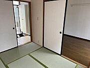 和6
