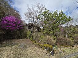 物件画像 十里木「南富士」