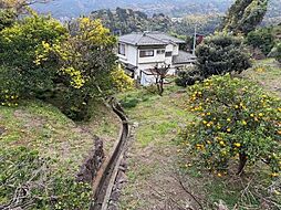 物件画像 南熱海 伊豆多賀 売土地 現況みかん畑