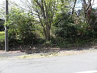 静岡県伊東市富戸大室高原：物件画像