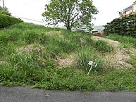 静岡県伊東市富戸大室高原：物件画像