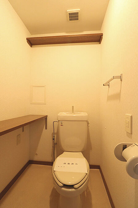 トイレ内には棚を設置しており、トイレットペーパーや掃除用品の収納に便利です。