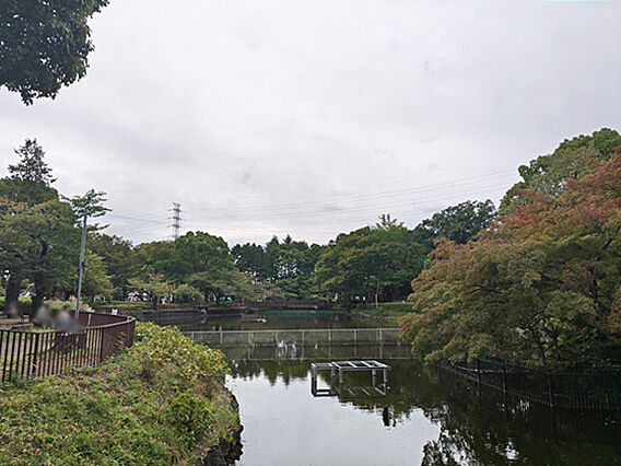 鹿沼公園まで約...