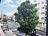その他：マンション前のバス停からバスも利用可能で便利です！