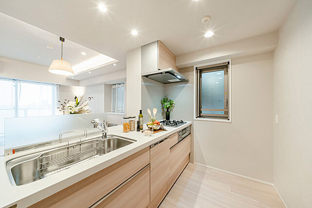 キッチン プラウドシティ池袋本町 13階/-