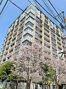 外観:桜がシンボルツリーのマンション。 外観:桜がシンボルツリーのマンション。