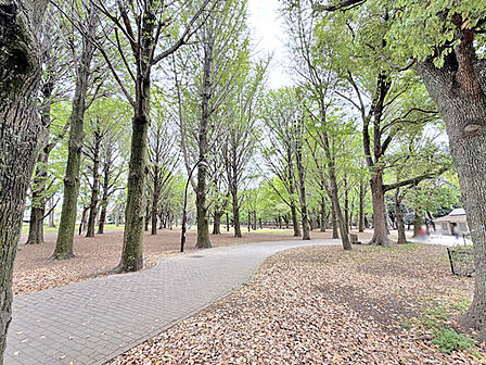 芦花公園