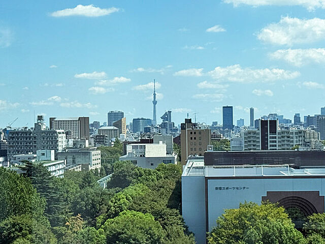 バルコニー スカイフォレストレジデンス 10階/-