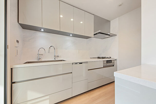 キッチン サンウッド文京開運坂上 4階/-