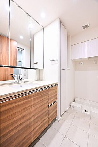 洗面 ザ・パークハウス三田ガーデン タワー棟 2階/-