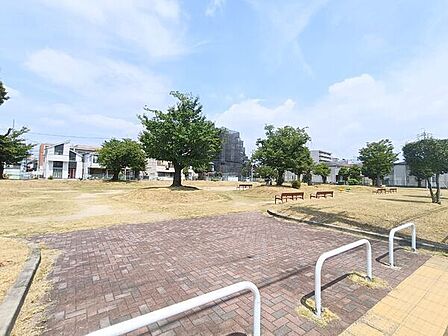 津金公園(約50m)