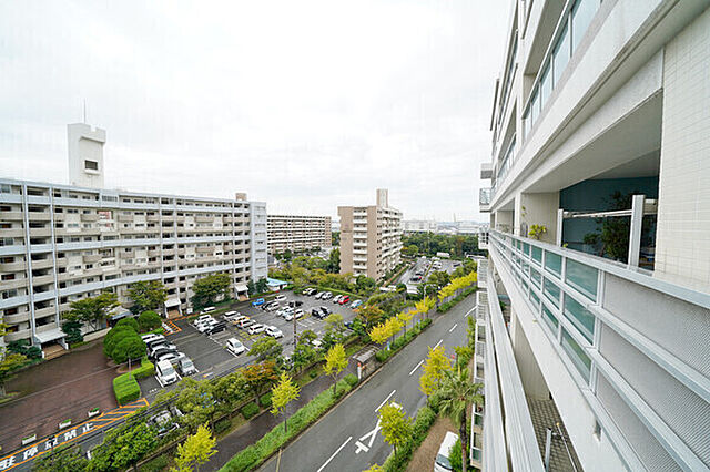 周辺 香椎浜ガーデンズ 8階/-