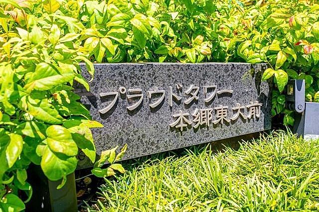 その他 プラウドタワー本郷東大前 14階/-