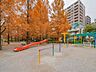 周辺：中央区立あかつき公園 170m