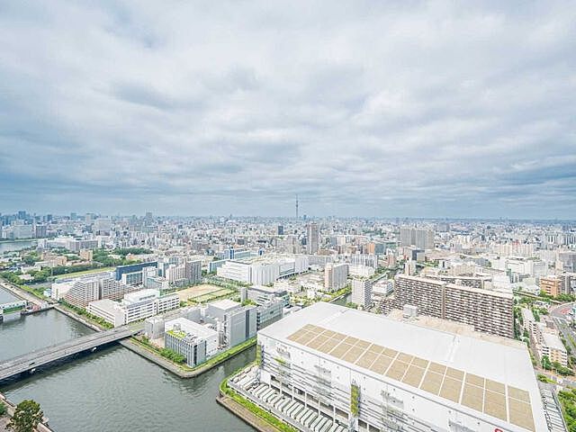 その他 ザ・豊洲タワー　THE TOYOSU TOWER 41階/-