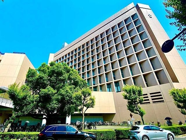 周辺 THE パームス月島ルナガーデン 8階/-