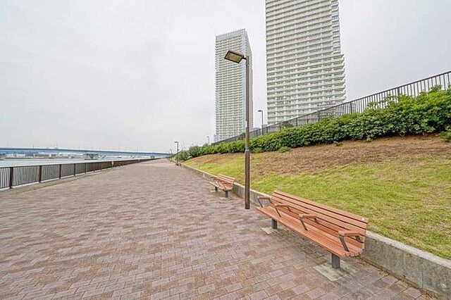 周辺 パークタワー晴海 46階/-