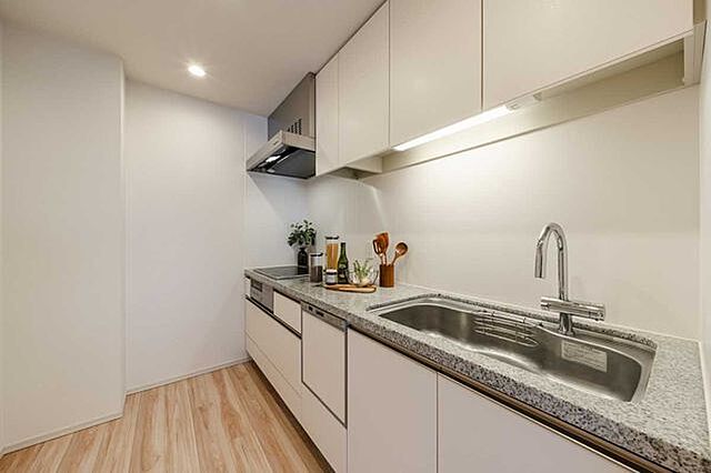 キッチン ザ・パークハウス西新宿タワー60 13階/-