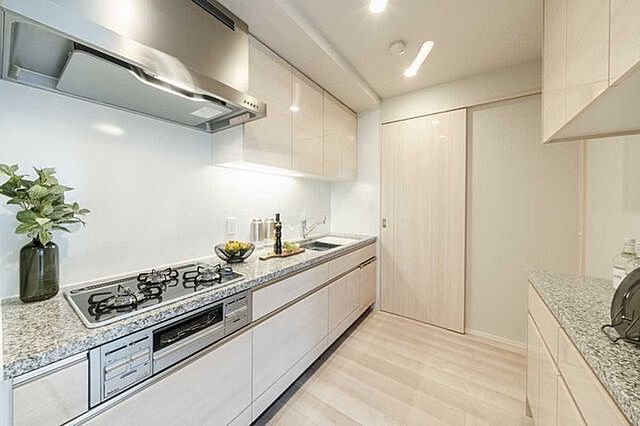 キッチン パークタワー晴海 12階/-